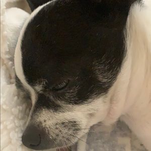 Meet your Posher, Jean